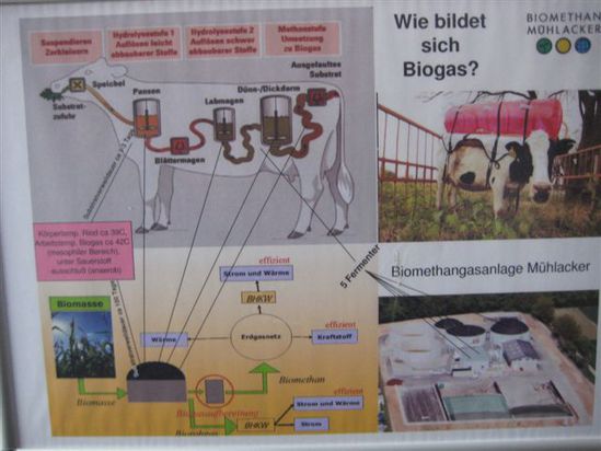 Besuch der Biogasanlage Mühlacker
